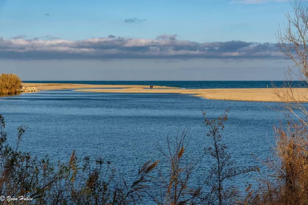 Studio Calme Au Coeur De Canet - 21 - Εξωτερικό φωτογραφία